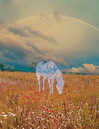 Invasive Ghosts by F. J. Bergmann